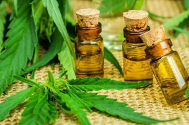 La Justicia ordenó al Estado suministrar cannabis medicinal a una niña con TEA