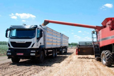 Oficializan aumento de 81,25% en tarifa de referencia para transporte de cereales y derivados