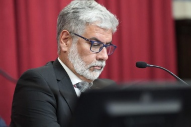 Feletti: “Tenemos que desvincular los precios internos de los internacionales”