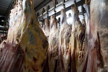 Carne: autorizan subas de precios en los siete cortes populares