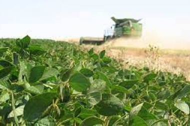 Vilella anunció que no subirán retenciones a 18 complejos productivos pero sube a la soja