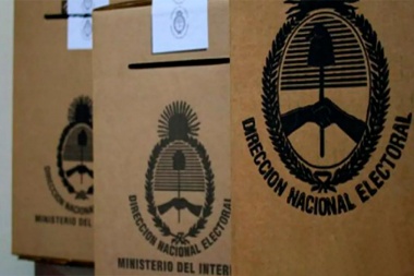 ONG advirtió que adherentes de Milei buscan instalar la idea de "fraude electoral"