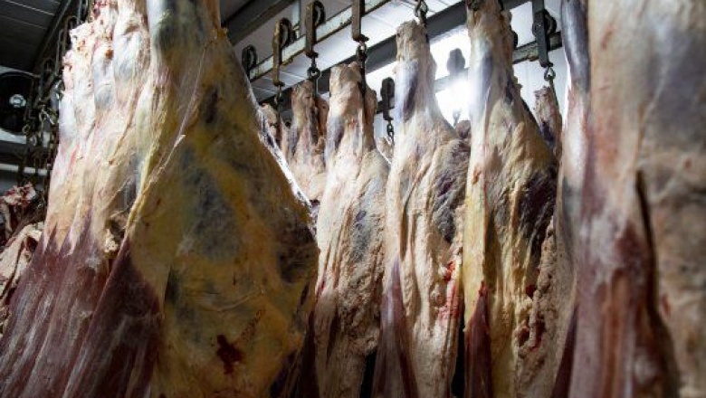 El consumo de carne se derrumbó a niveles históricos y tuvo impacto en la baja de la inflación