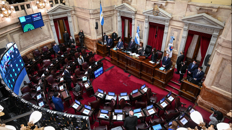Senado aprobó el pliego de Verónica Michelli pese al veto del Gobierno y con apoyo del peronismo