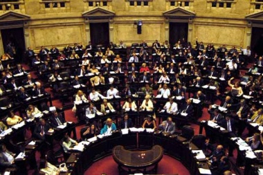 Piden una sesión especial para repudiar "golpe de Estado en Bolivia"