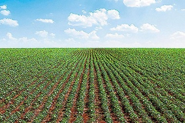 La Federación Agraria Buenos Aires afirma que las retenciones al agro "son un muy mal impuesto"