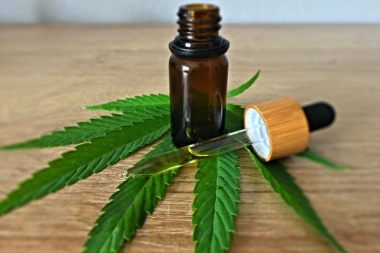 La UNAHUR investigará sobre el cultivo de cannabis con fines de investigación médica y científica